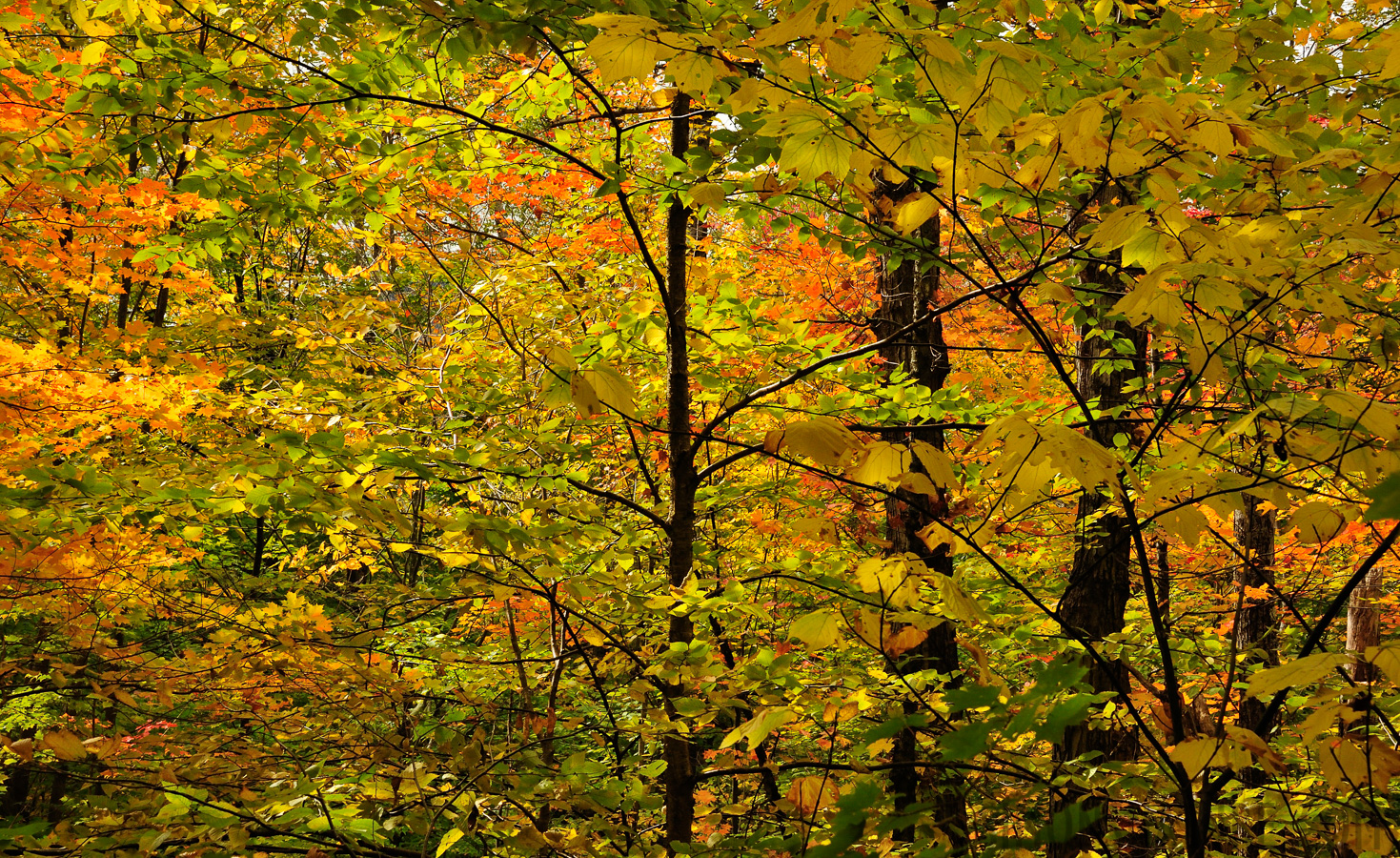 Jericho Mountain State Park [62 mm, 1/250 sec at f / 14, ISO 1600]